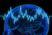 Traumatic Brain Injury Increases Parkinson's Risk