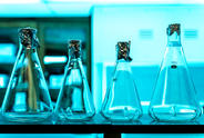 Four beakers lined up on a table in a lab.
