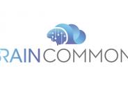 Brain Commons Logo