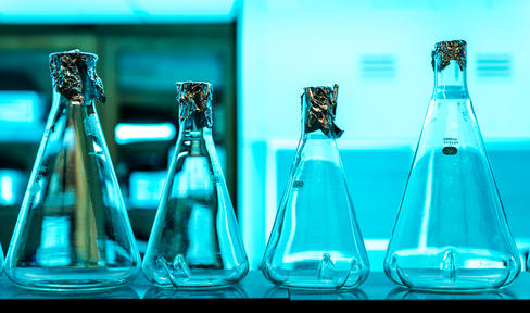 Four beakers lined up on a table in a lab.