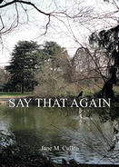 Cover of Book, "Say That Again" with an outdoor landscape of a pond and trees in the winter.
