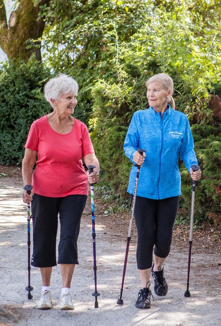 walking poles in use 