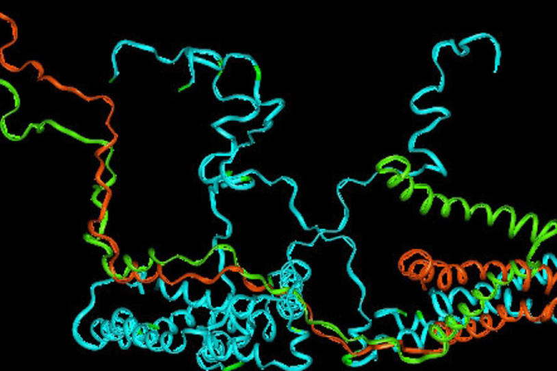 Jon Palfreman Reports on “Brain Strains”