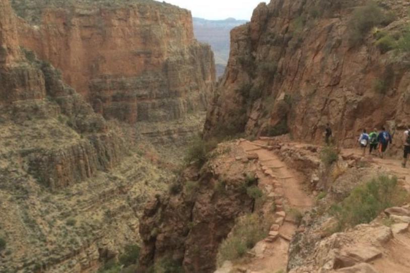 Fox Foto Friday: Into the Canyon They Go!