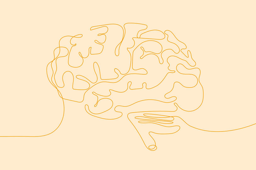 illustration of a brain