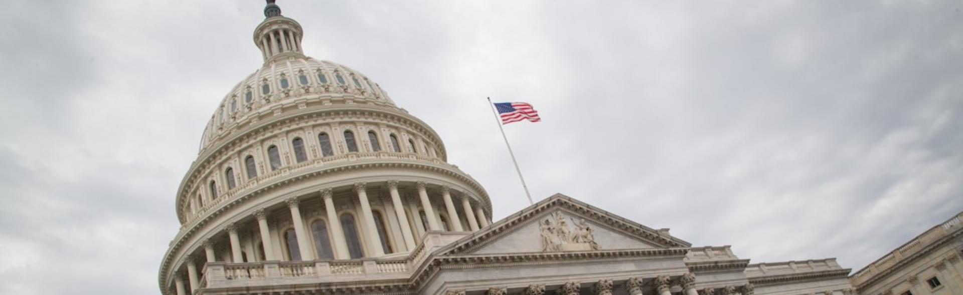 Capitol building in Washington D.C.